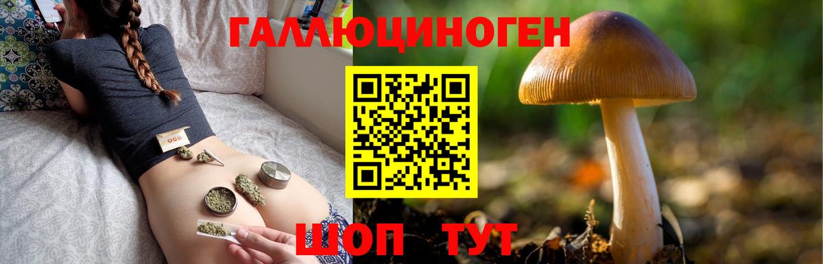 продажа наркотиков  Вход с VPN  Галлюциногенные грибы Psilocybine cubensis  Ступино  Галлюциногенные грибы MAGIC MUSHROOMS 